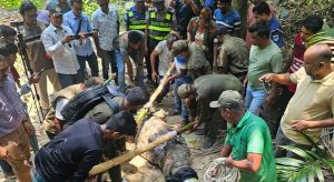 প্রথম সমাচার Prothom Somachar বাগেরহাটের খানজাহান আলী মাজারের দিঘি থেকে কুমির অপসারণ এবং খাদেমের প্রতিবাদ।