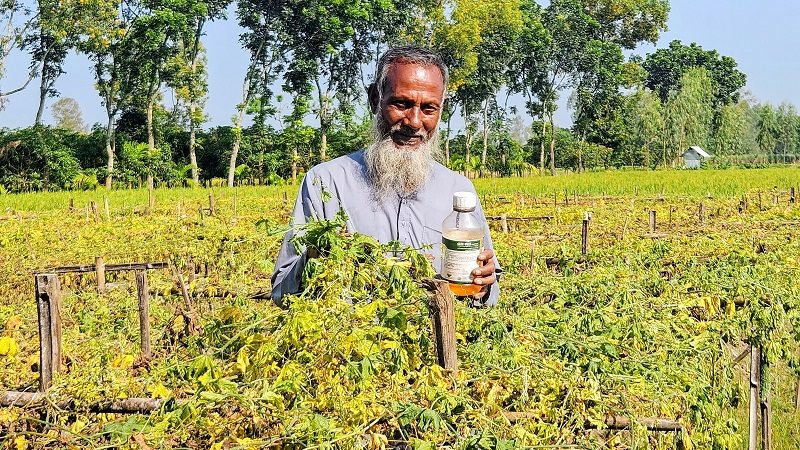 পঞ্চগড়ে বালাইনাশক স্প্রের পর নষ্ট হলো করলাখেত, ক্ষতিপূরণ দাবি কৃষকের