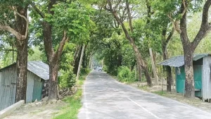 প্রথম সমাচার Prothom Somachar আনোয়ারা-চন্দনাইশ সড়কের প্রশস্তকরণ ও আধুনিকায়নের চিত্র।