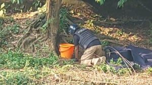 প্রথম সমাচার Prothom Somachar গাজীপুরের টঙ্গীর আন্দারুল এলাকায় ছাত্রলীগ নেতার বাড়ির সামনে থেকে উদ্ধারকৃত ১০টি ককটেল নিষ্ক্রিয় করছে বোম্ব ডিসপোজাল ইউনিট।